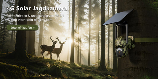 Warum Ihre Überwachungskamera immer wieder die WLAN-Verbindung verliert