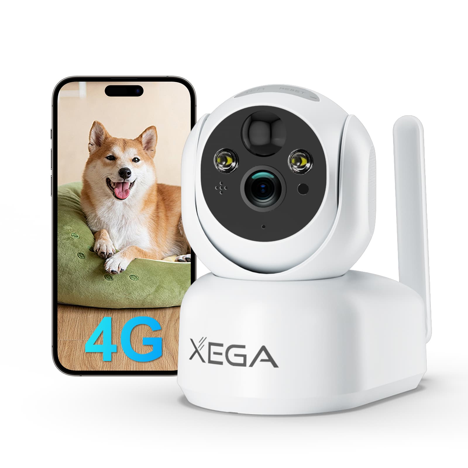 Xega XG-10 4G Innen Überwachungskamera mit SIM Karte, 360 Grad Ansicht, Hund auf dem Smartphone, weiß