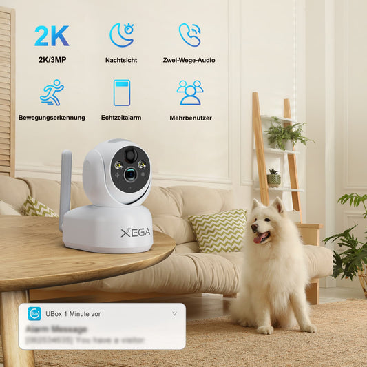 Xega XG-10 Indoor Überwachungskamera mit 2K Auflösung, Nachtsicht und Echtzeitalarm, Hund im Hintergrund.